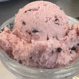 Strawberry Chip Dish of Ice Cream